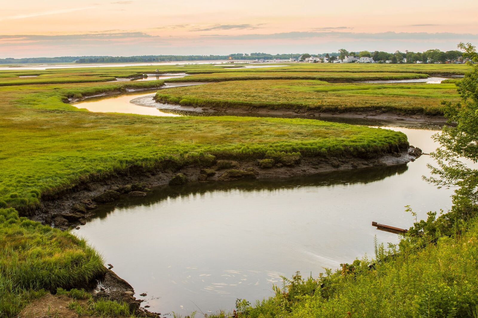 Scarborough Marsh – Visit Scarborough Maine