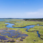 Scarborough Marsh